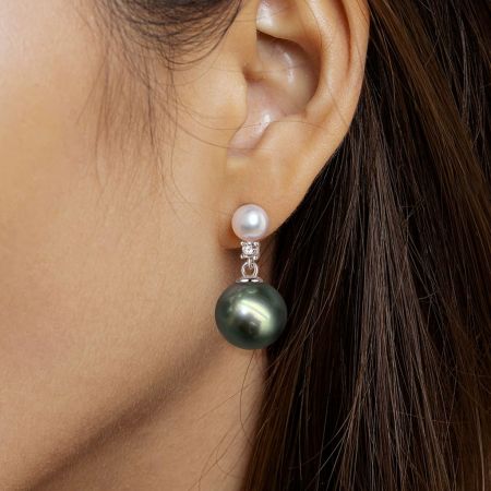 Classic Stud Earrings