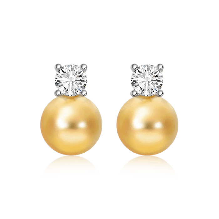 Classic Stud Earrings