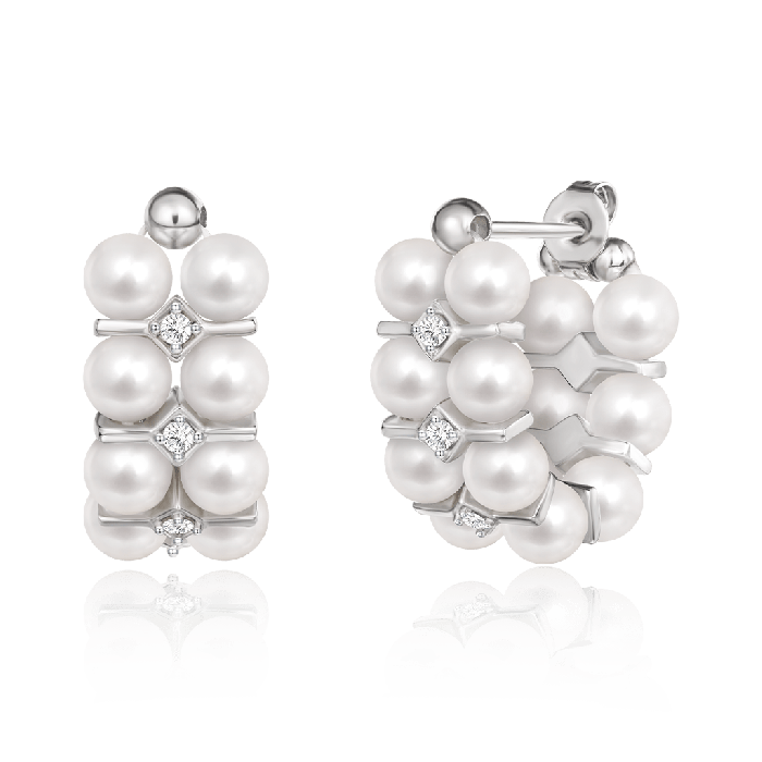 Double Layer Earrings
